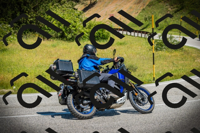 202506141140-DSC06996_c1_