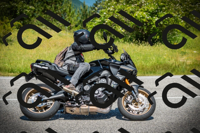 202506141146-DSC07059_c1_