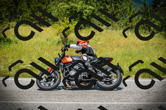 202506141153-DSC07163_c1_