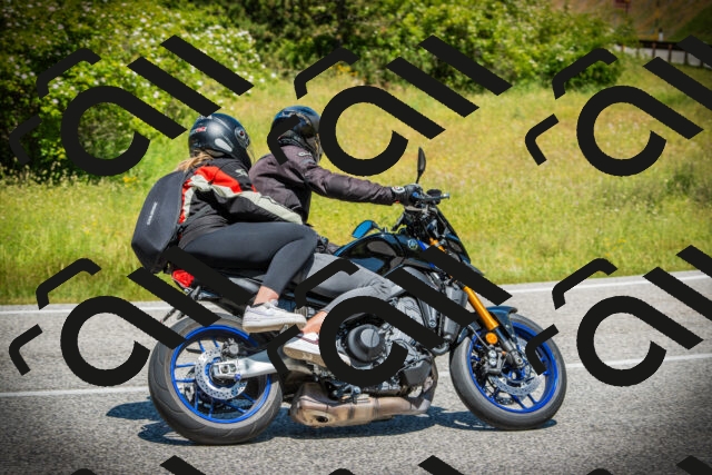 202506141155-DSC07179_c1_