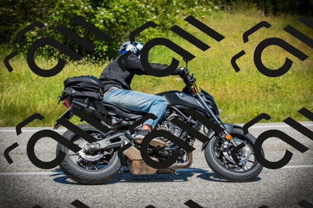 202506141200-DSC07237_c1_