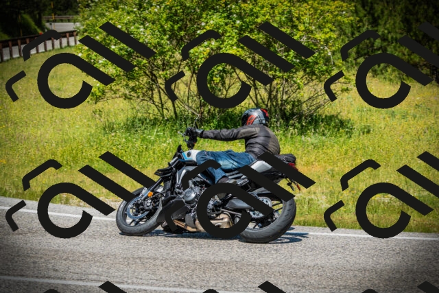 202506141205-DSC07264_c1_