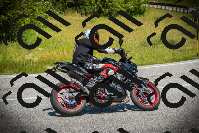 202506141206-DSC07309_c1_