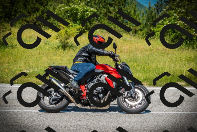 202506141213-DSC07400_c1_