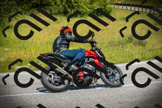 202506141213-DSC07401_c1_