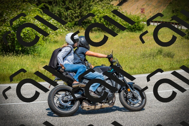 202506141215-DSC07434_c1_