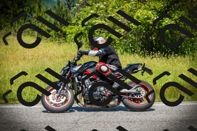 202506141217-DSC07489_c1_