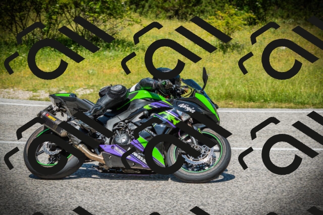 202506141218-DSC07507_c1_