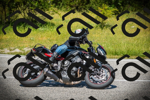 202506141218-DSC07523_c1_