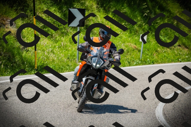 202506141224-DSC07592_c1_