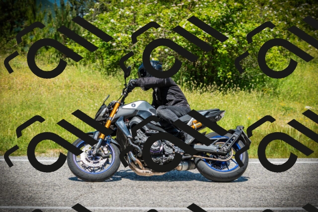 202506141228-DSC07634_c1_