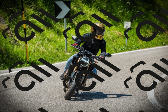 202506141233-DSC07725_c1_