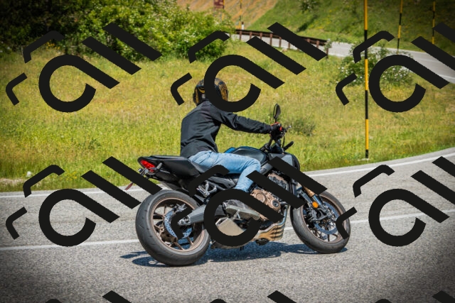 202506141233-DSC07728_c1_