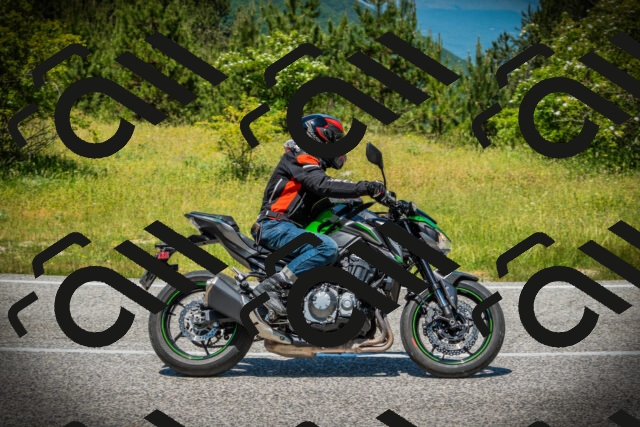 202506141240-DSC07845_c1_