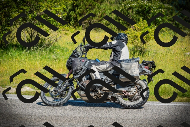 202506141013-DSC06453_c1_