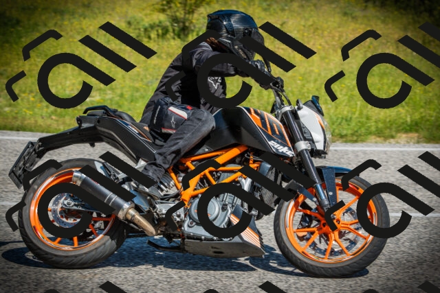 202506141018-DSC06479_c1_