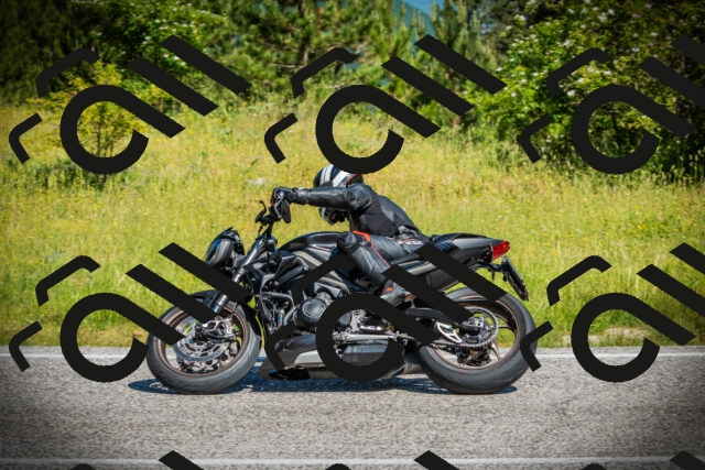 202506141024-DSC06525_c1_