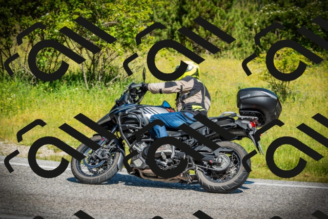 202506141030-DSC06573_c1_