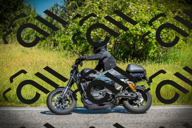 202506141033-DSC06616_c1_