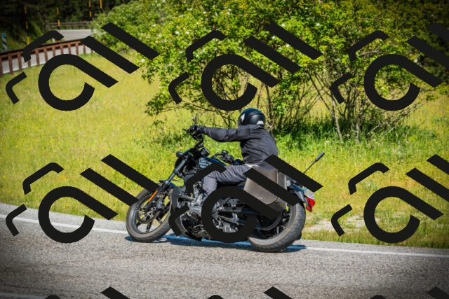 202506141034-DSC06625_c1_