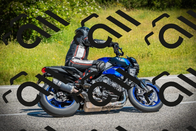 202506141035-DSC06629_c1_