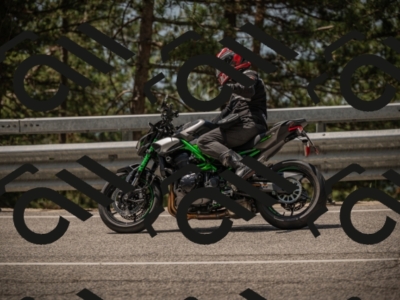 20250615120005-_Z622797_am_