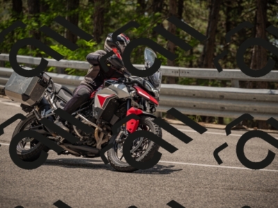 20250615121228-_Z622944_am_