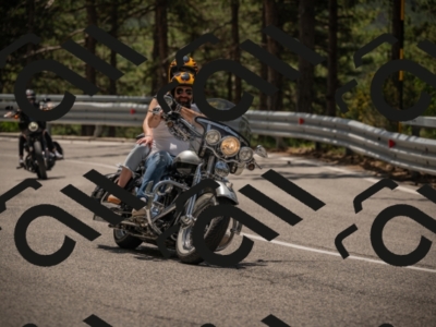 20250615121606-_Z623055_am_