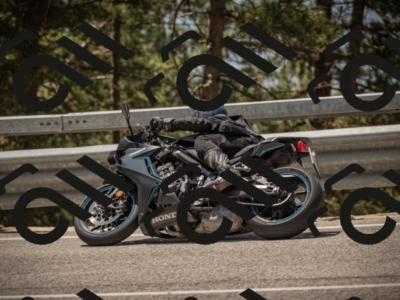 20250615121801-_Z623079_am_