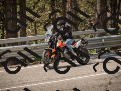 20250615122219-_Z623130_am_