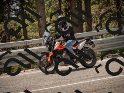 20250615122219-_Z623131_am_