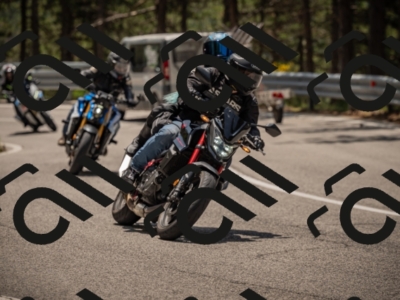 20250615122303-_Z623153_am_