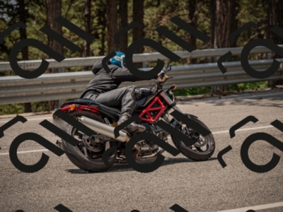 20250615122844-_Z623284_am_