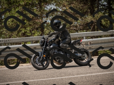 20250615122908-_Z623289_am_