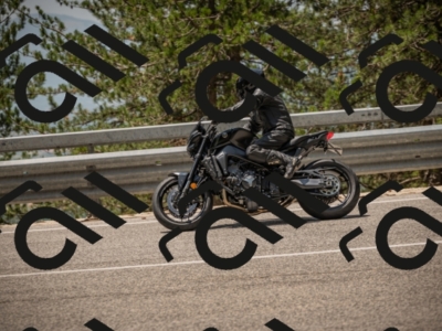 20250615122909-_Z623290_am_