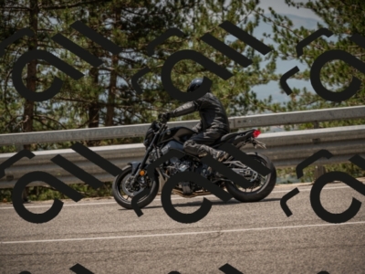 20250615122909-_Z623291_am_