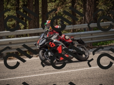 20250615123323-_Z623354_am_