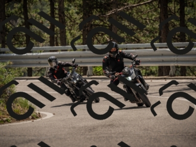 20250615123341-_Z623357_am_