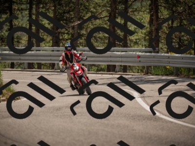 20250615125059-_Z623537_am_