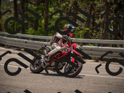 20250615125101-_Z623541_am_