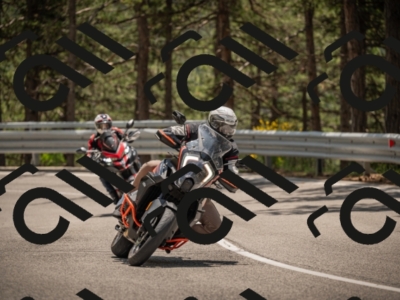 20250615125310-_Z623552_am_