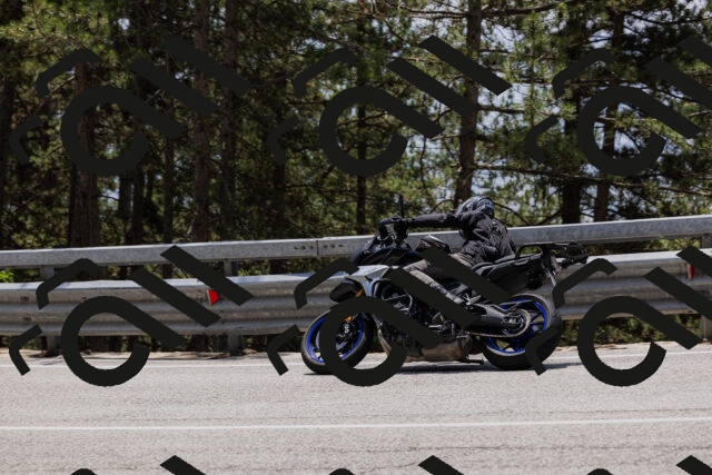 202506151316-_04A3169_c3_