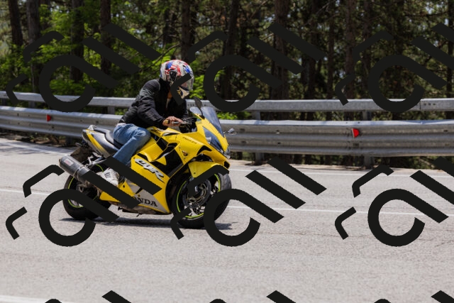 202506151316-_04A3173_c3_