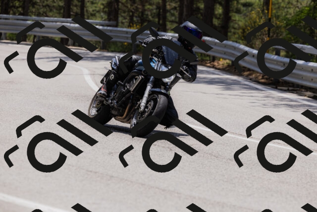 202506151316-_04A3176_c3_