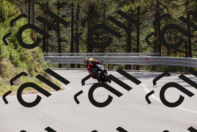 202506151318-_04A3179_c3_