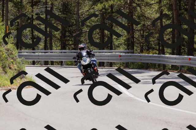 202506151318-_04A3183_c3_