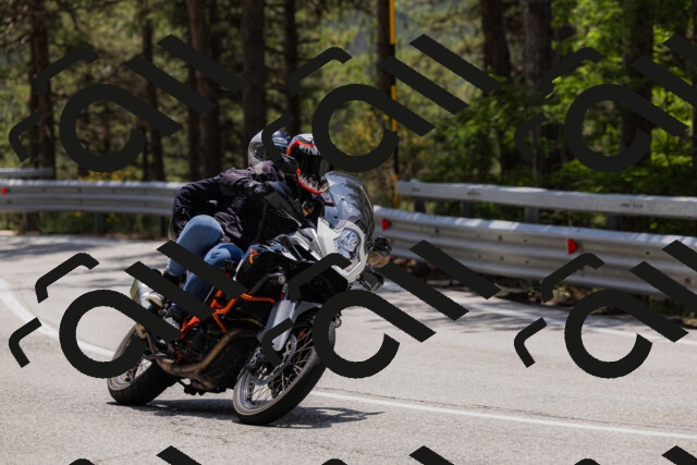 202506151318-_04A3185_c3_