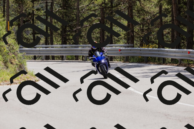 202506151318-_04A3187_c3_