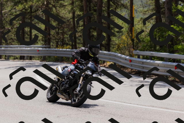 202506151320-_04A3192_c3_