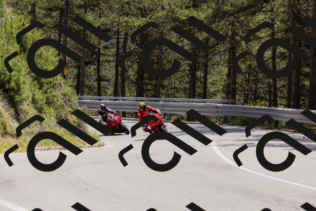 202506151320-_04A3195_c3_